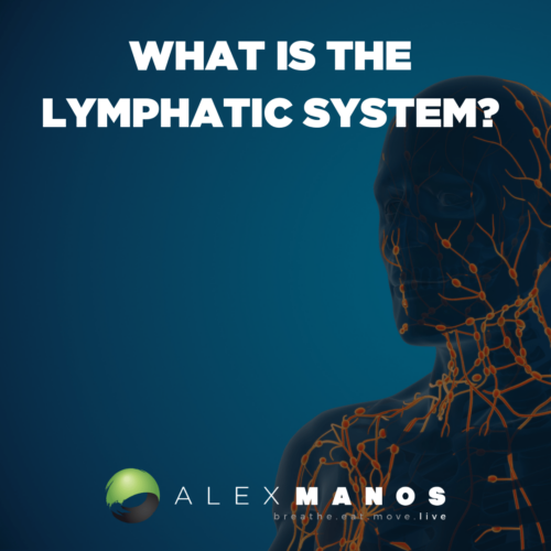 The Lymphatic System: The Forgotten System In Healing