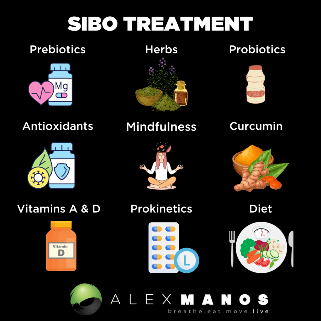 sibo-treatment