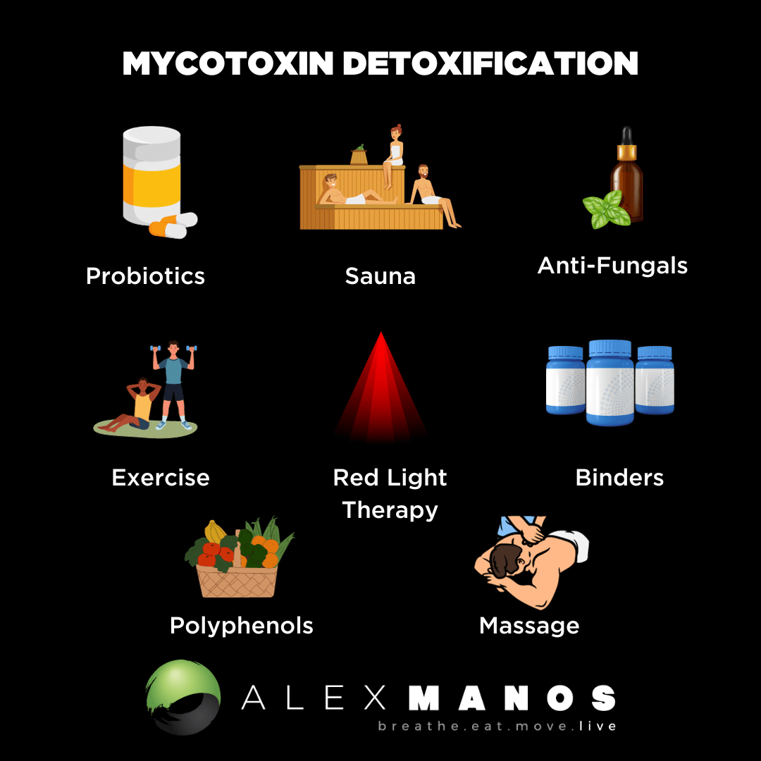 Mycotoxin Detoxification