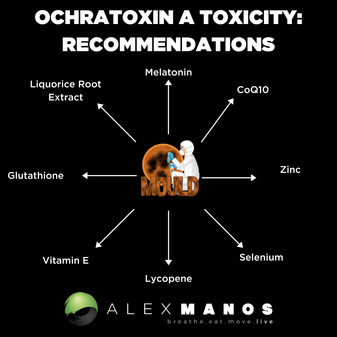 Ochratoxin A toxicity