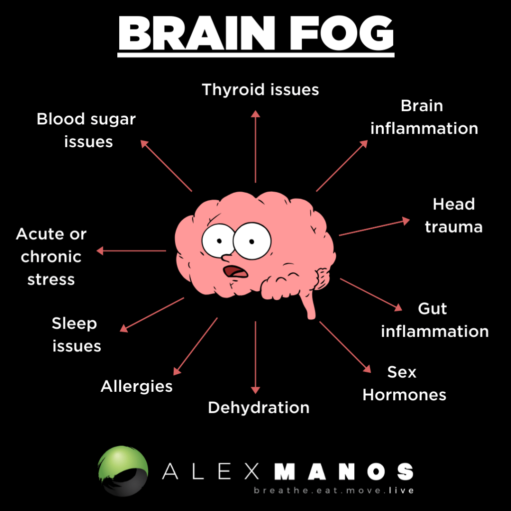 What Causes Brain Fog The Authoritative Guide 2024 Alex Manos Movement And Nutrition 