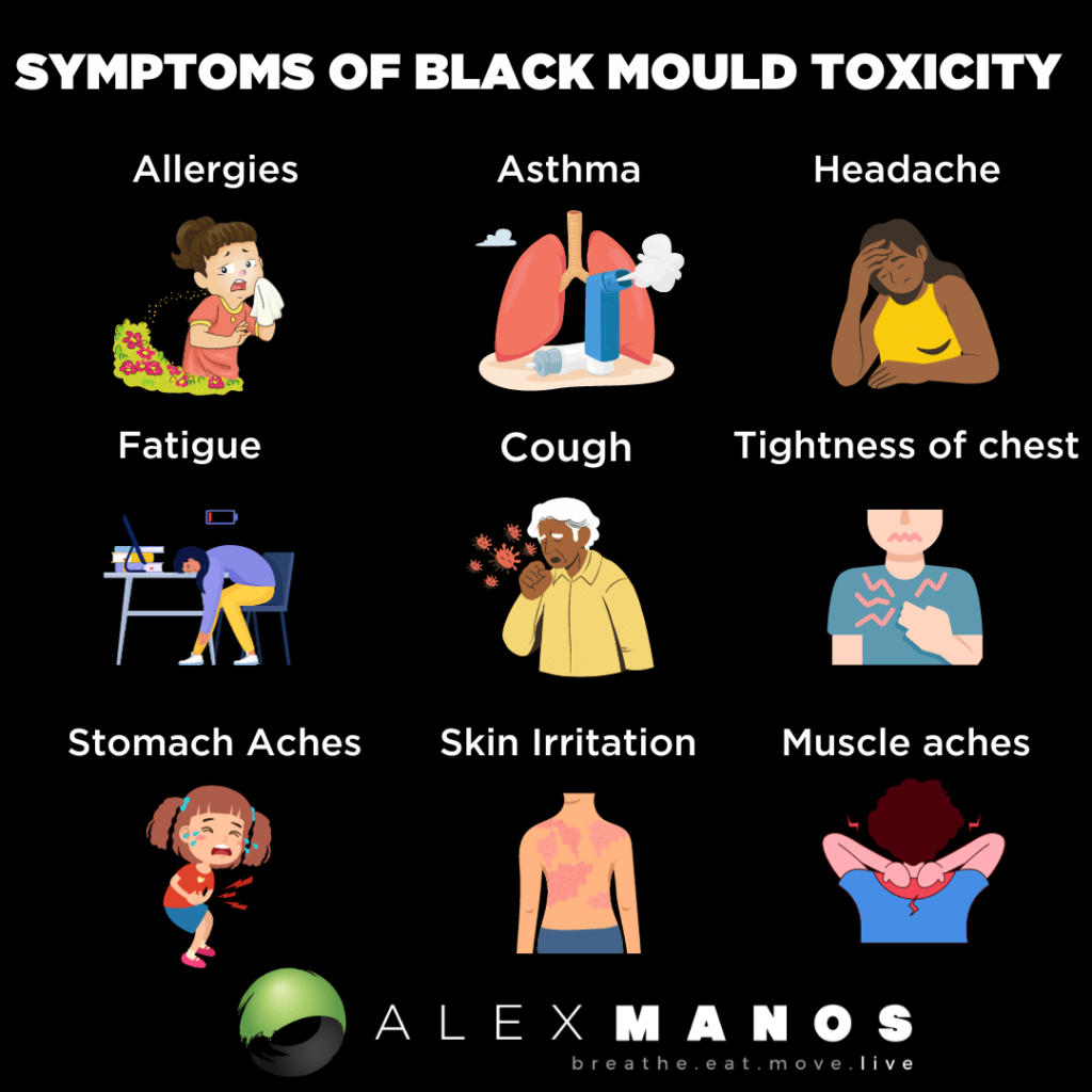 black-mould-symptoms-causes-treatment-alex-manos