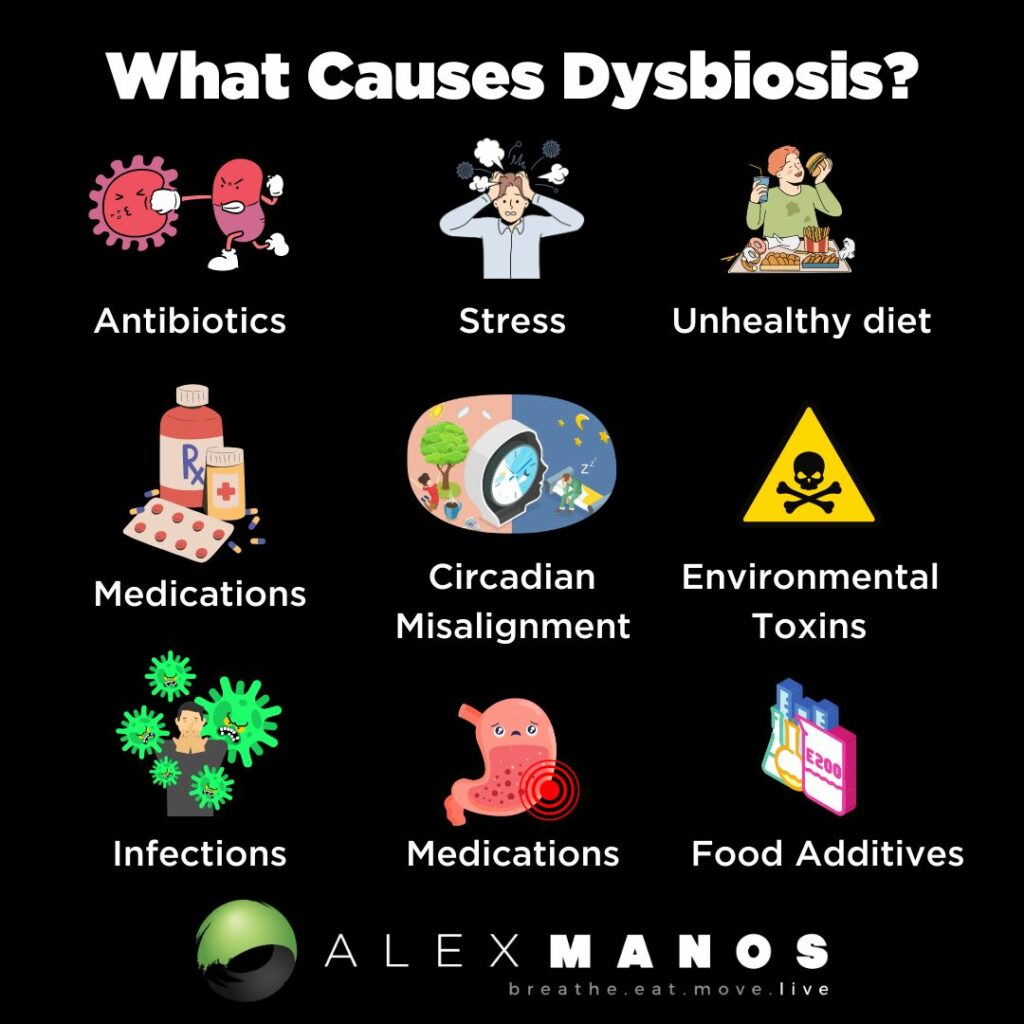 What Causes Dysbiosis