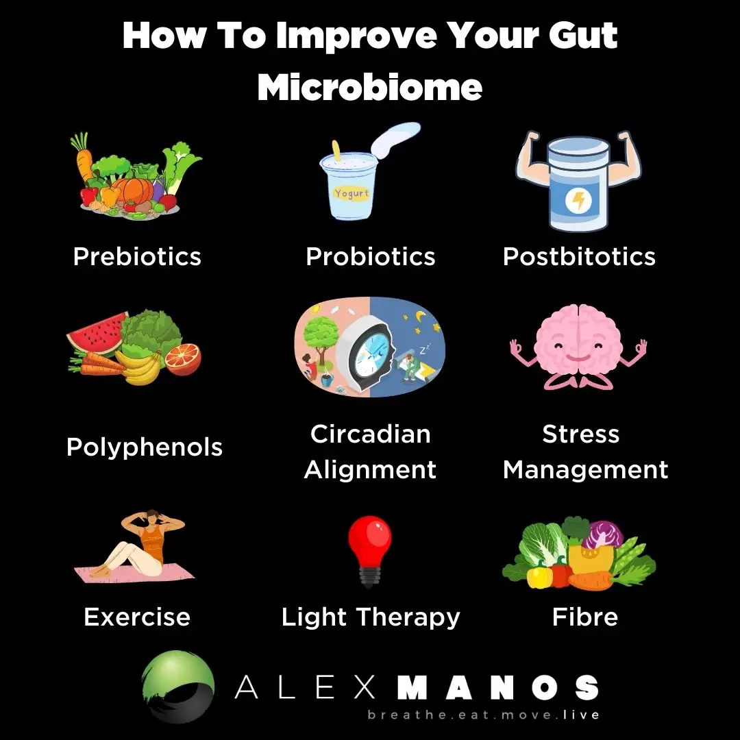 How To Improve Your Gut Microbiome