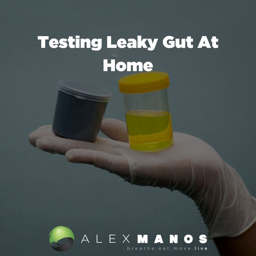 Test For Leaky Gut At Home