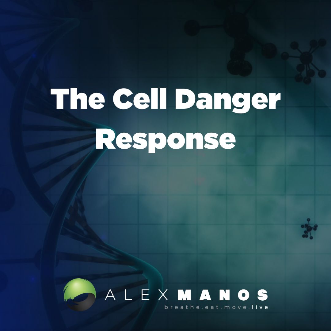 The Cell Danger Response