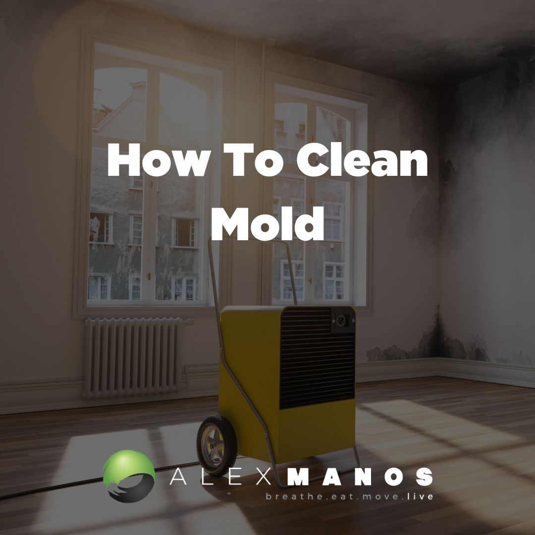How To Clean Mold