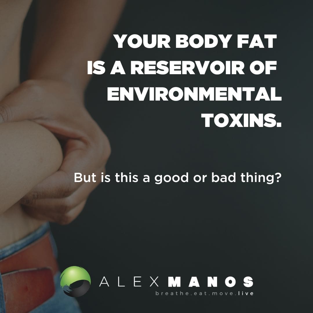 Body Fat Is A Reservoir Of Environmental Toxins