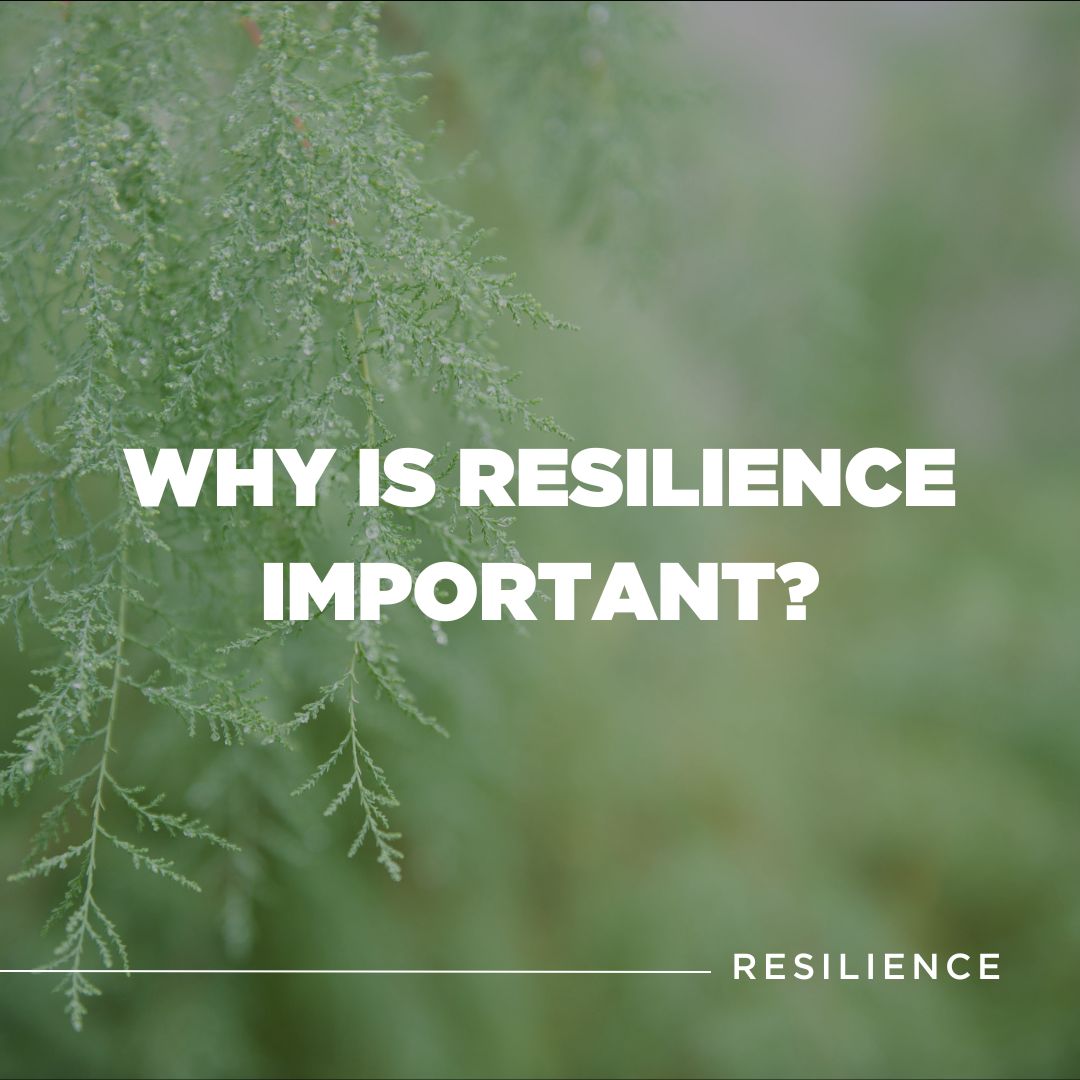 Why Is Resilience Important?