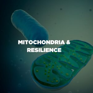 Mitochondria And Resilience