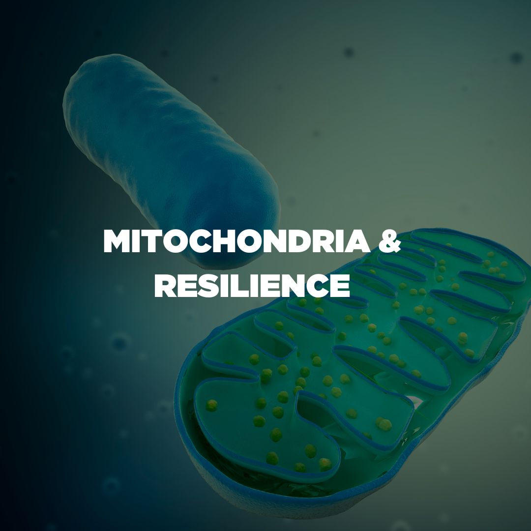 Mitochondria And Resilience